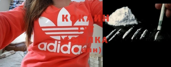 МДПВ Нефтегорск