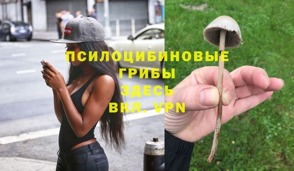 дмт Нея