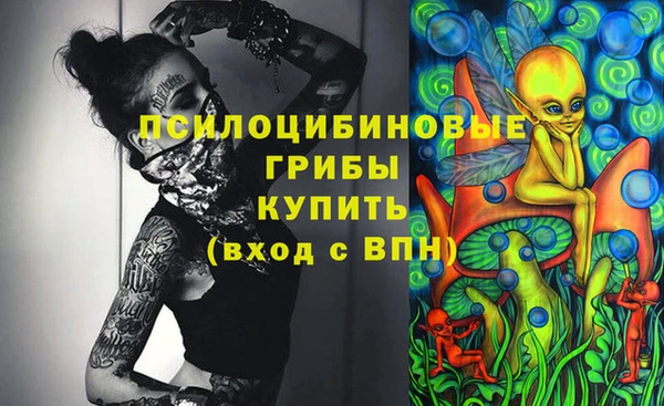 дурь Новокубанск