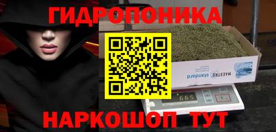 стаф Аргун