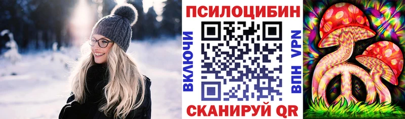 Псилоцибиновые грибы мухоморы  дарнет шоп  Бердск 