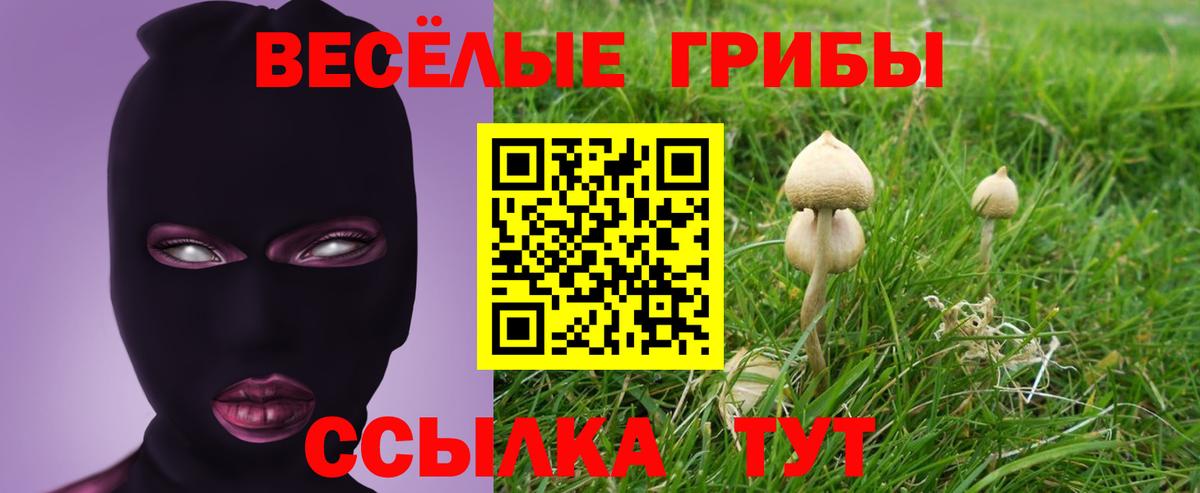 Бердск  Псилоцибиновые грибы Magic Shrooms  Вход с VPN 