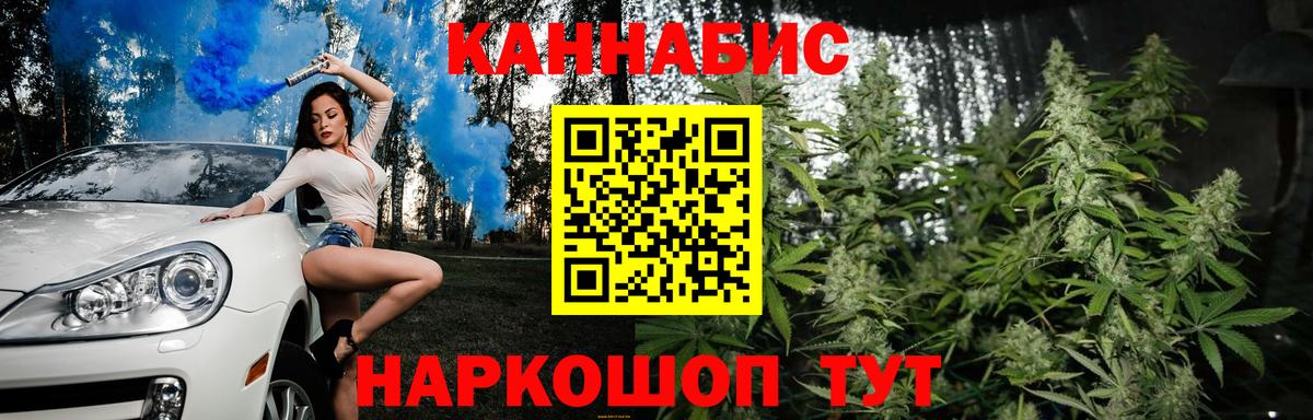 Конопля планчик Бердск