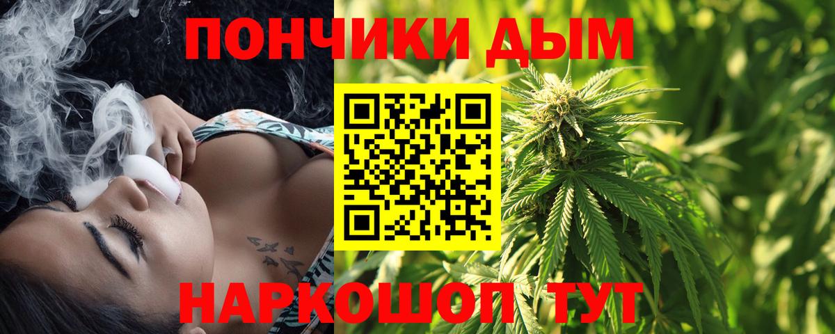 Бошки марихуана планчик  Бошки марихуана тримм  Бердск  Каннабис White Widow  Вход с VPN 